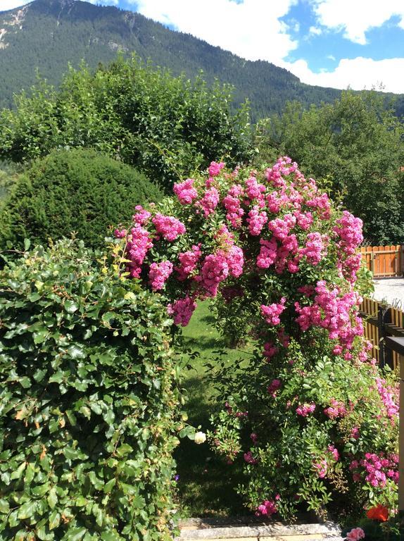 Bergblick Lägenhet Garmisch-Partenkirchen Exteriör bild
